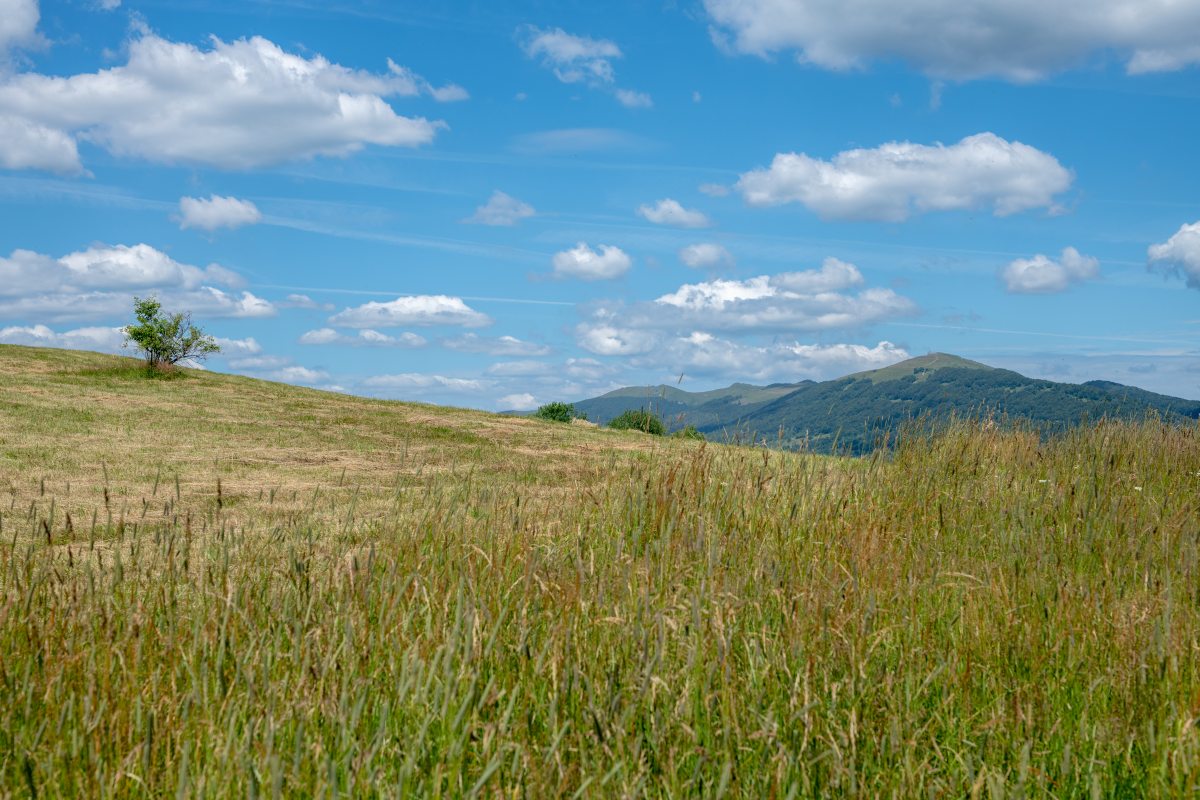 Bieszczady 18-22.07.2022 (2)