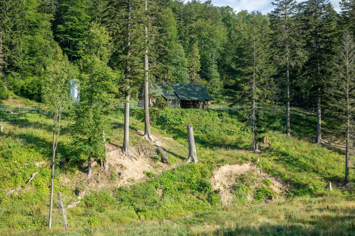 Bieszczady 18-22.07.2022 (20)