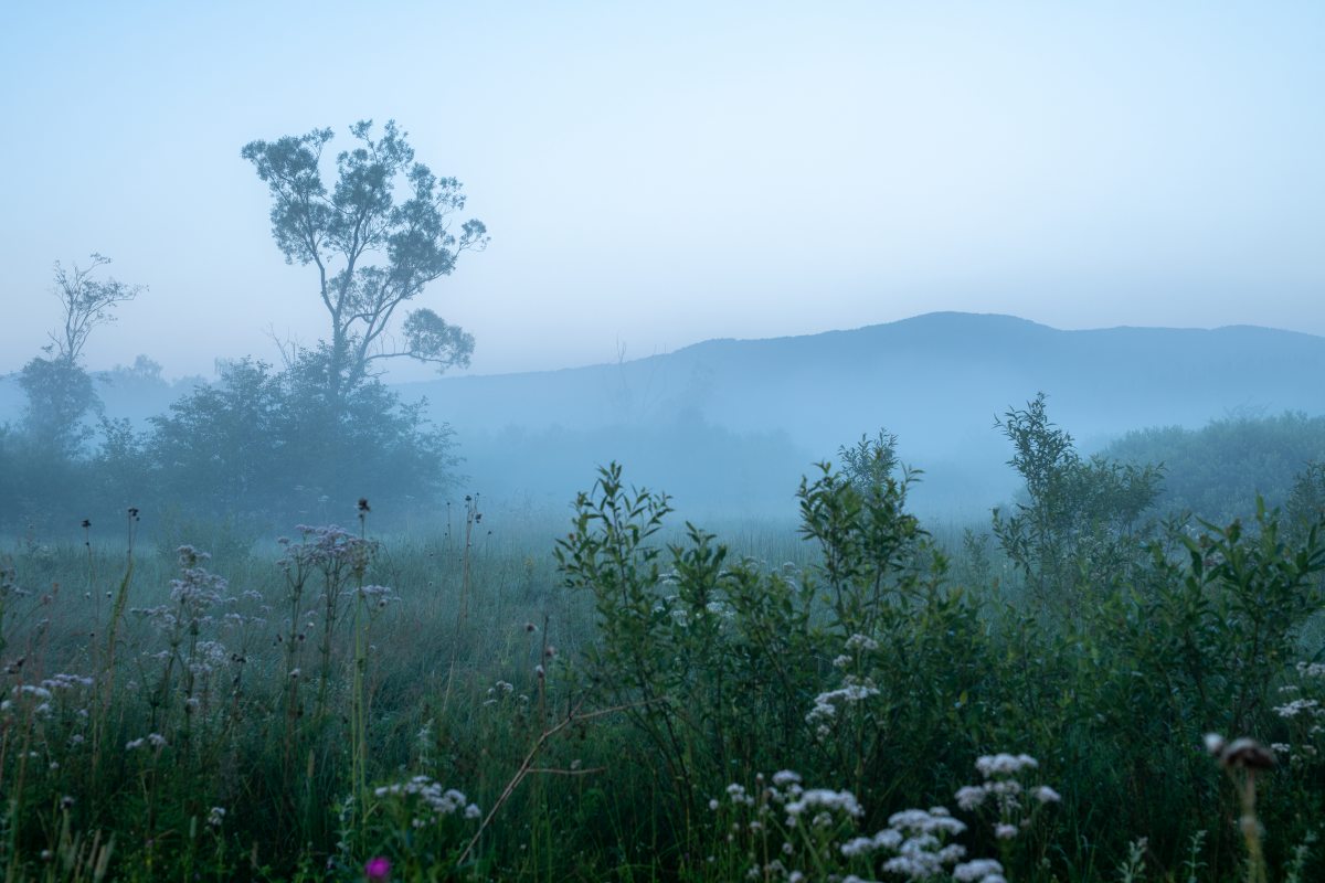 Bieszczady 18-22.07.2022 (28)