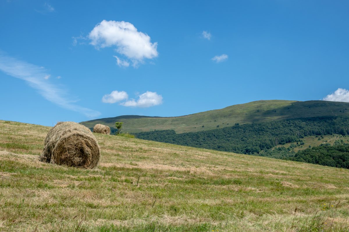 Bieszczady 18-22.07.2022 (3)