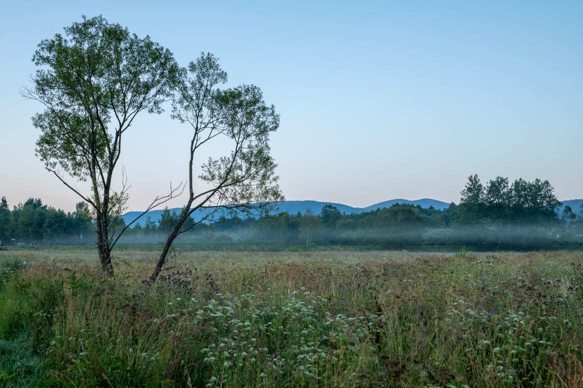 Bieszczady 18-22.07.2022 (31)