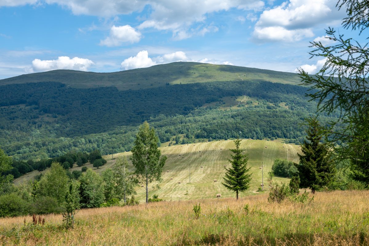 Bieszczady 18-22.07.2022 (6)