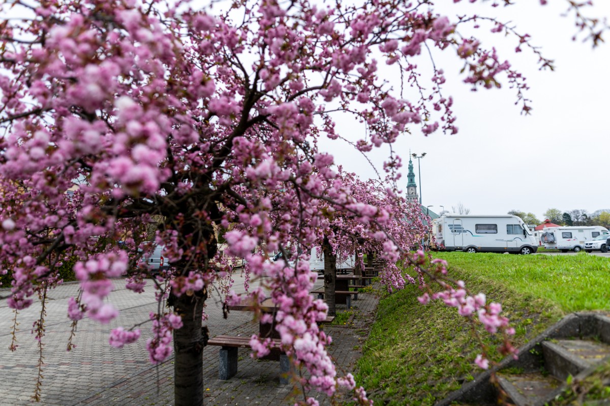 Częstochowa24.4.2022 (25)