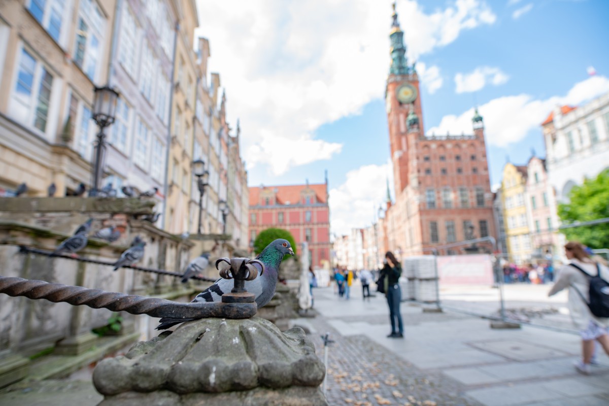 Gdańsk 26.05.2022 (6)