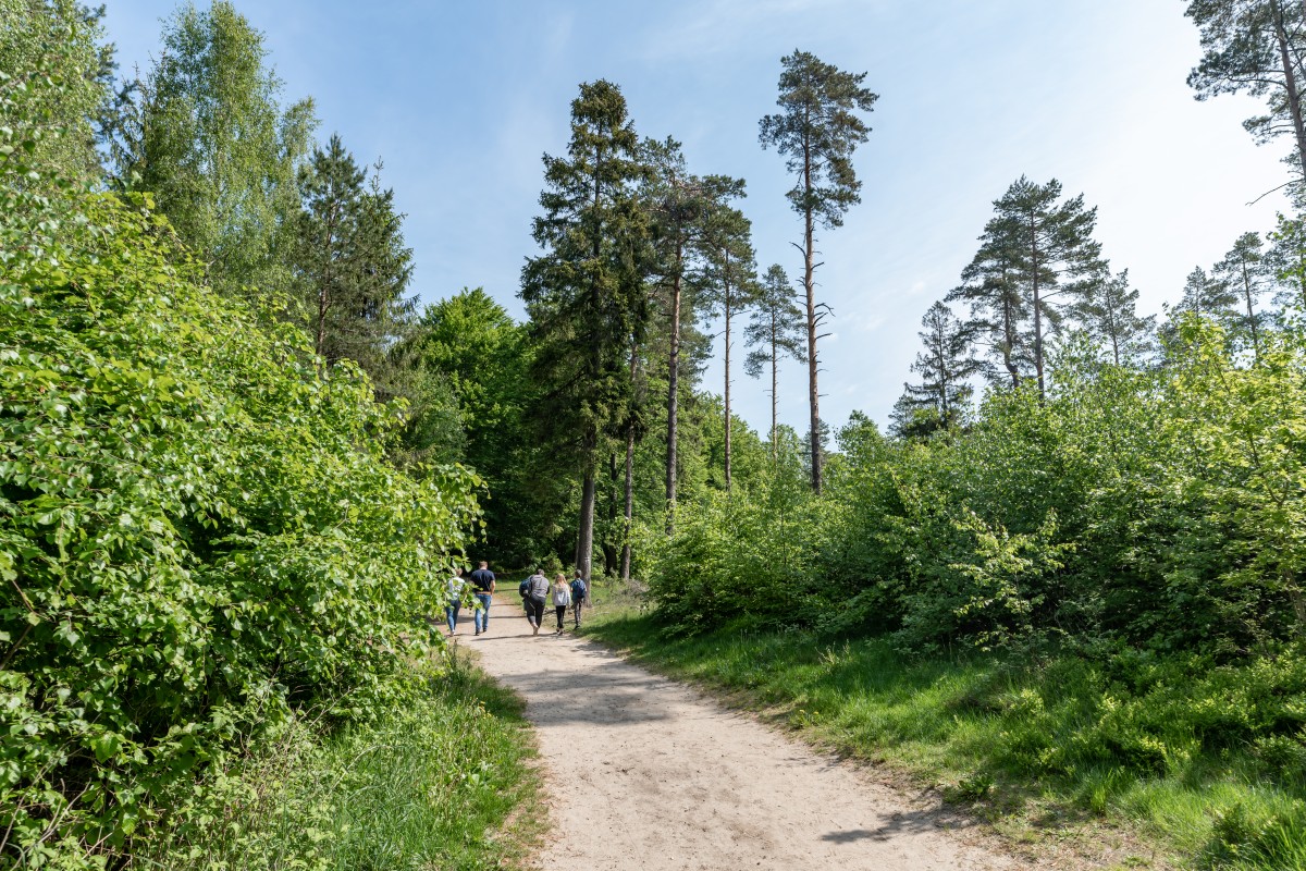 Kaszuby 4.06.2022 (1)