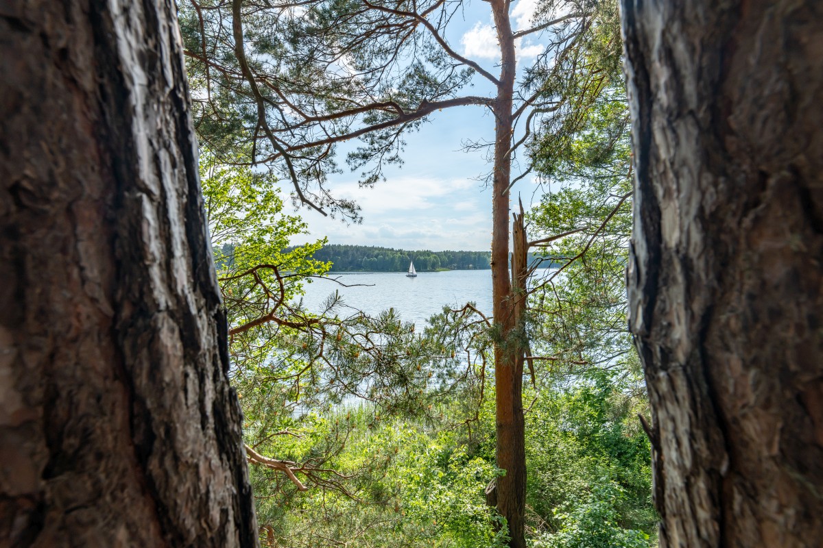 Kaszuby 4.06.2022 (33)