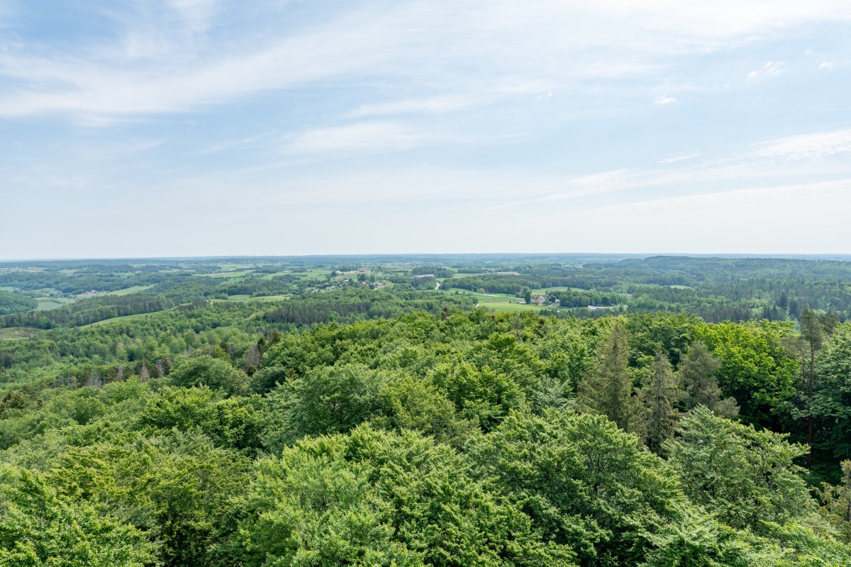 Kaszuby 4.06.2022 (7)