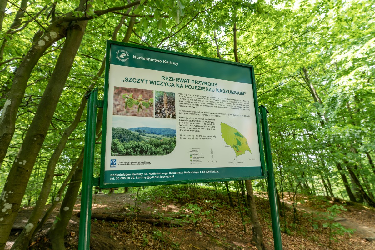 Kaszuby 4.06.2022 (8)