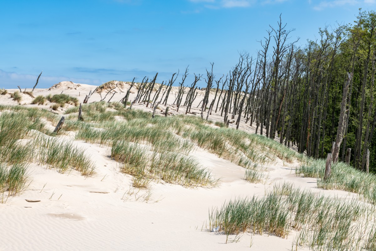 Łeba 3.06.2022 (13)