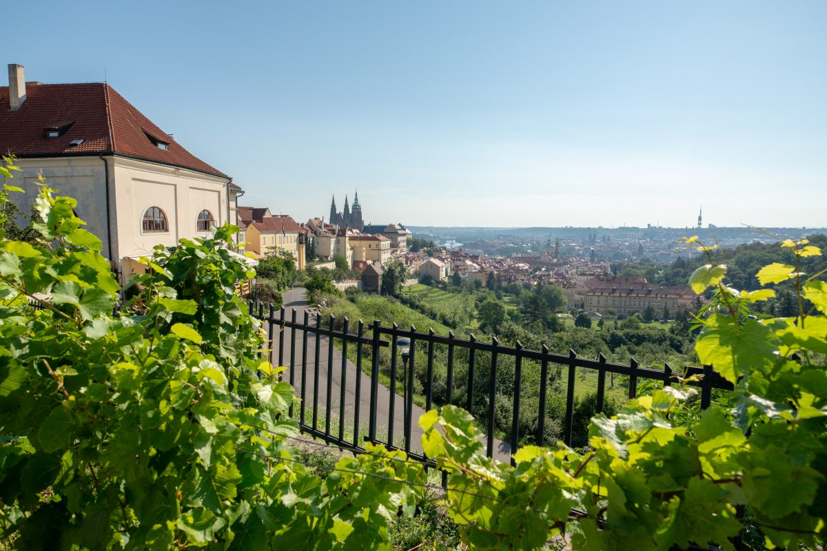 Praga29-31.07.2022 (1)