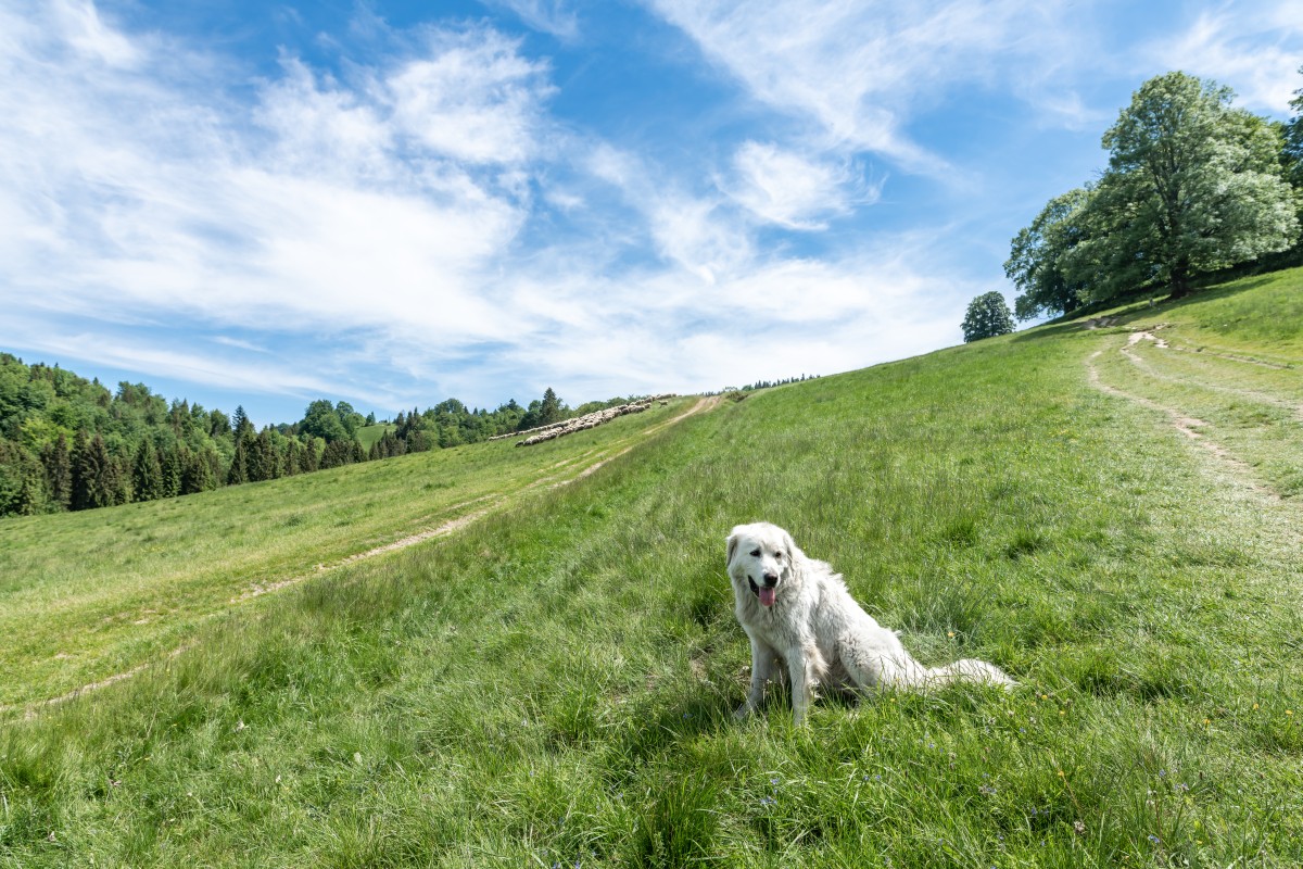 Tatry 5-8.06.2022ee (25)