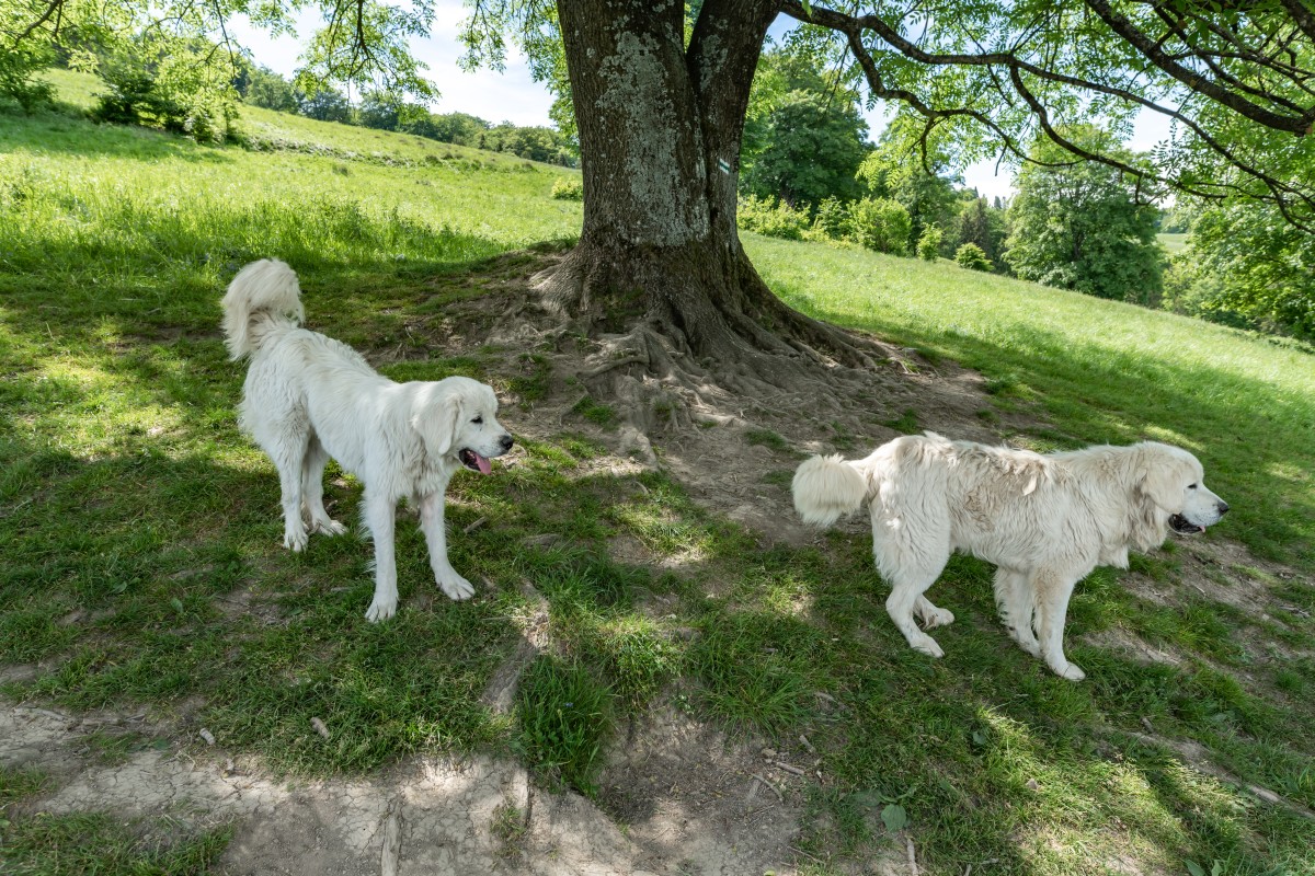 Tatry 5-8.06.2022ee (27)