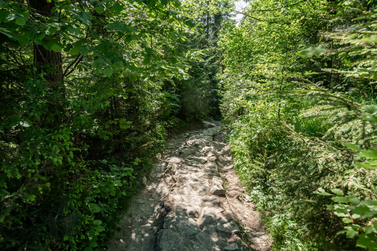 Tatry 5-8.06.2022ee (36)