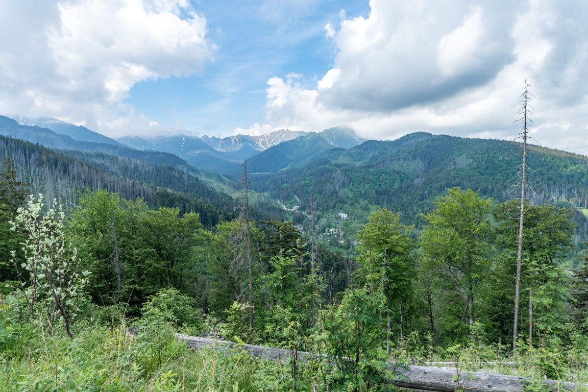 Tatry 5-8.06.2022ee (45)