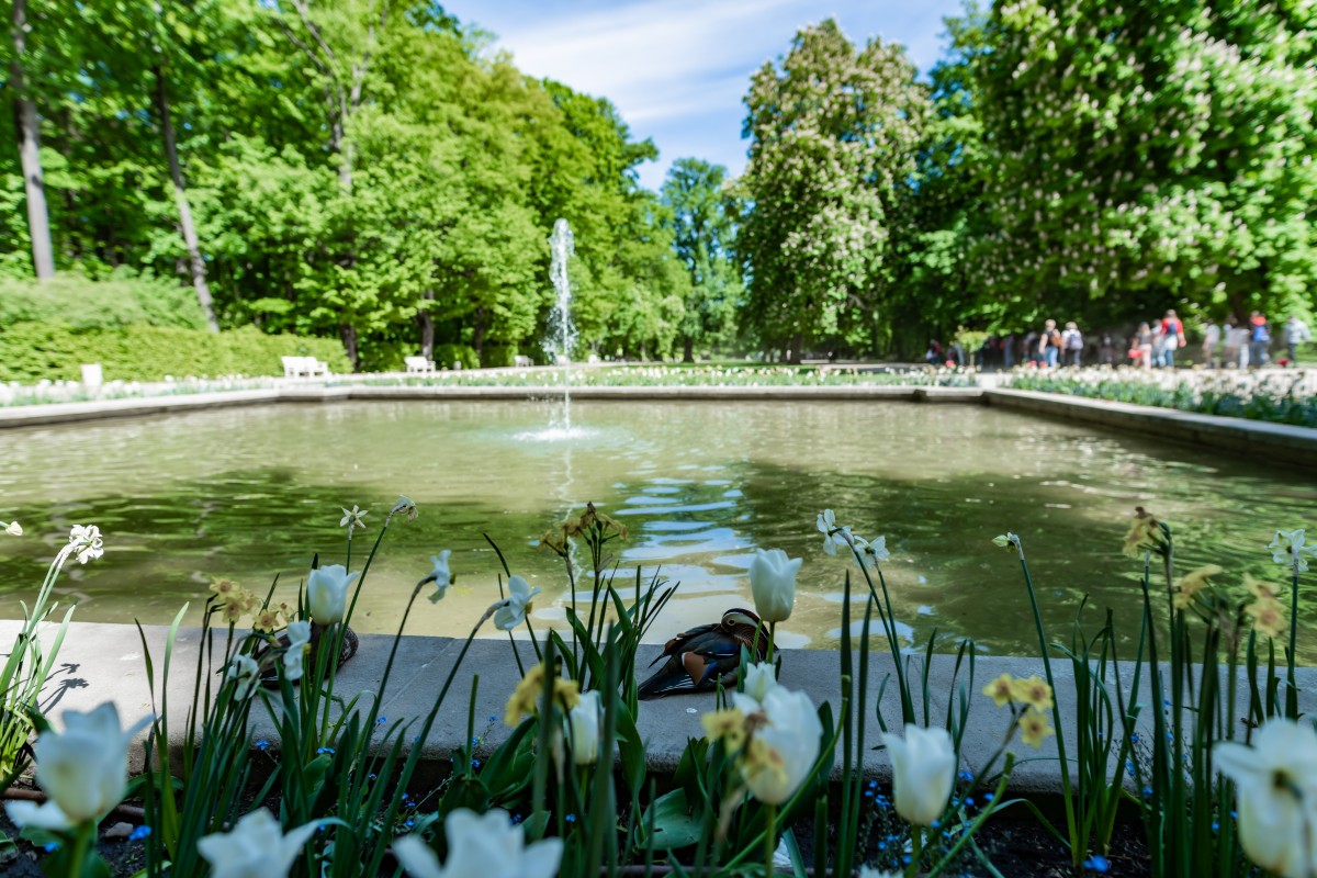 Warszawa 16.05.2022 (20)