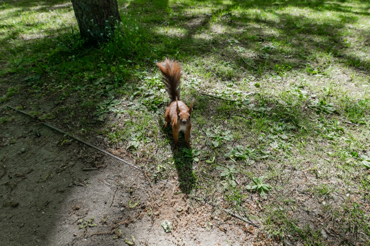 Warszawa 16.05.2022 (23)