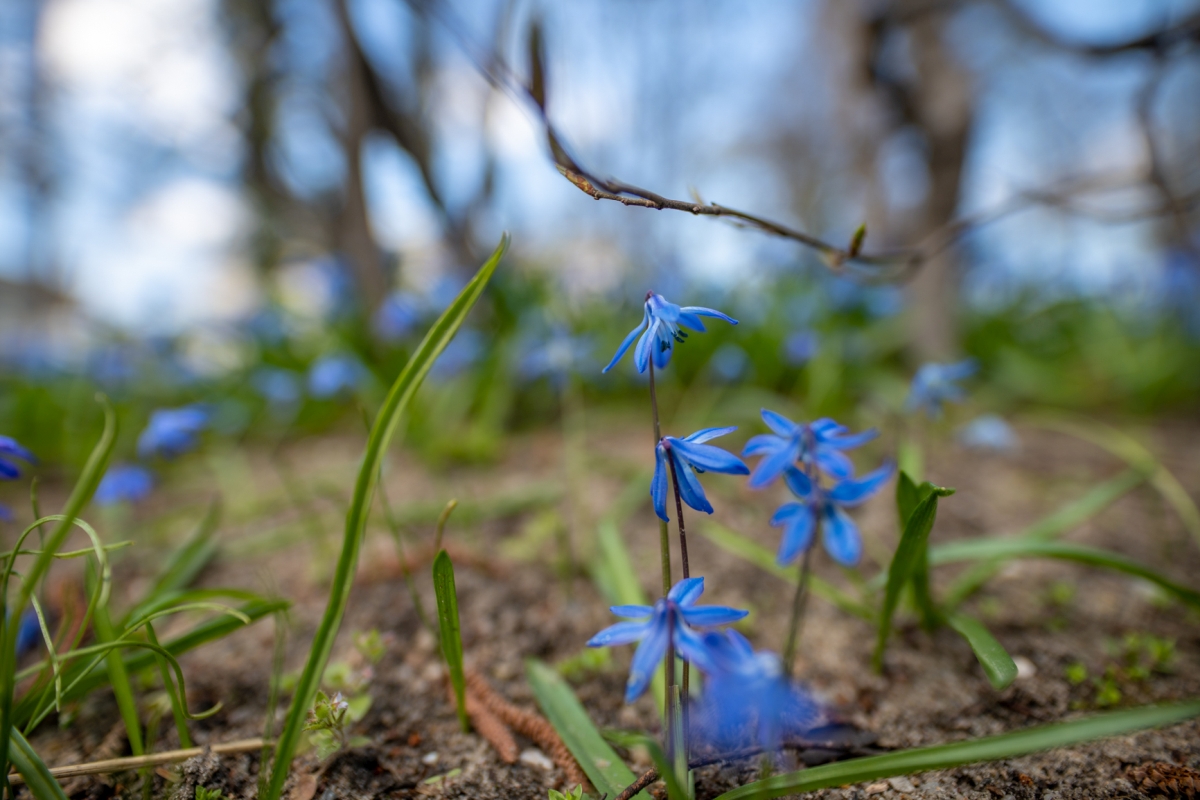 Warszawa12.4 .2022(20)