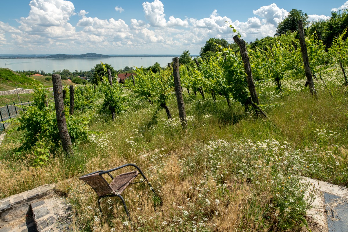 Węgry 25-28.06.2022 (11)