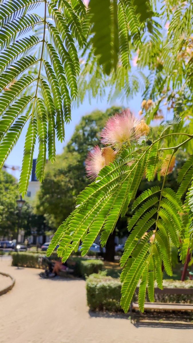 Węgry 25-28.06.2022 (43)