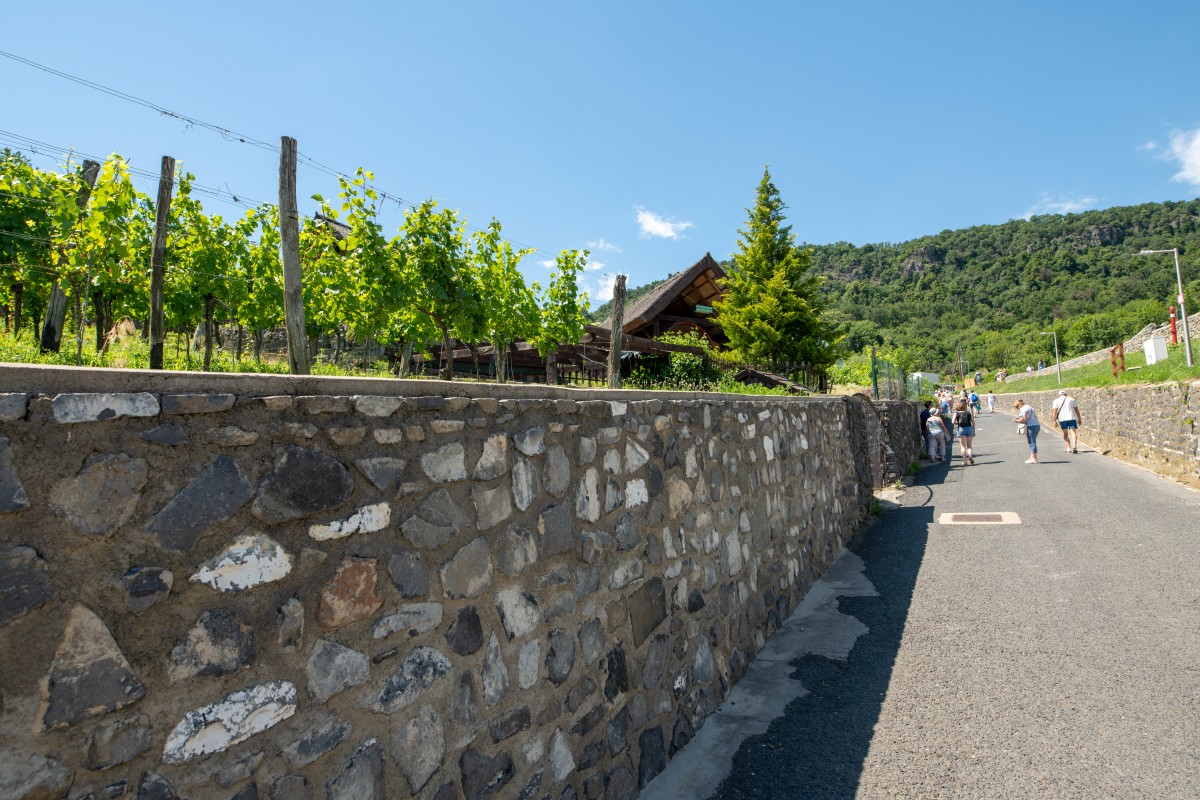 Węgry 25-28.06.2022 (9)