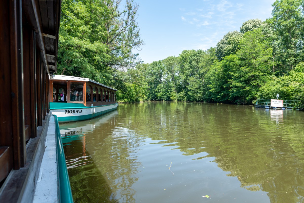 Wiedeń 15-19.06.2022 (13)
