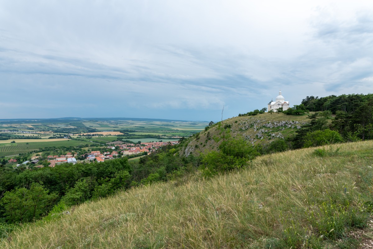Wiedeń 15-19.06.2022 (15)