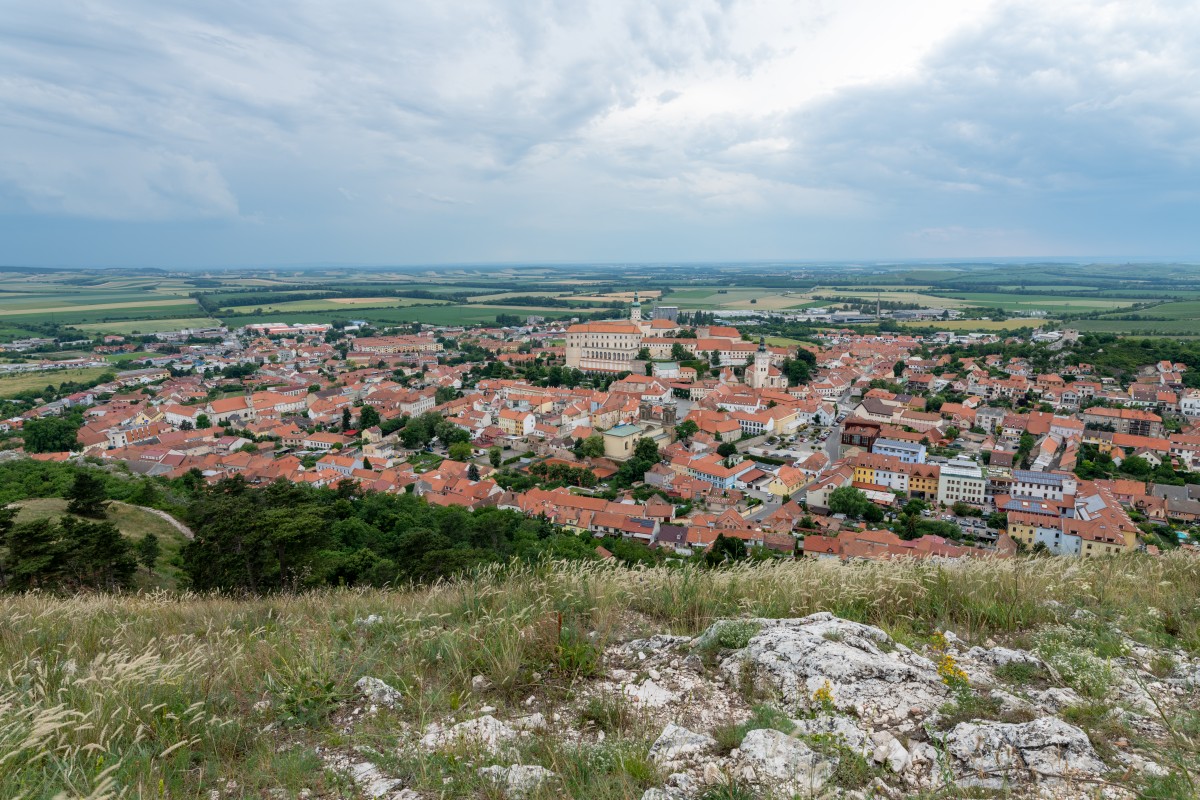 Wiedeń 15-19.06.2022 (16)