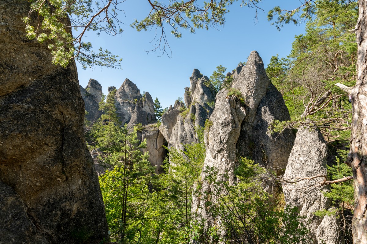 Wiedeń 15-19.06.2022 (52)