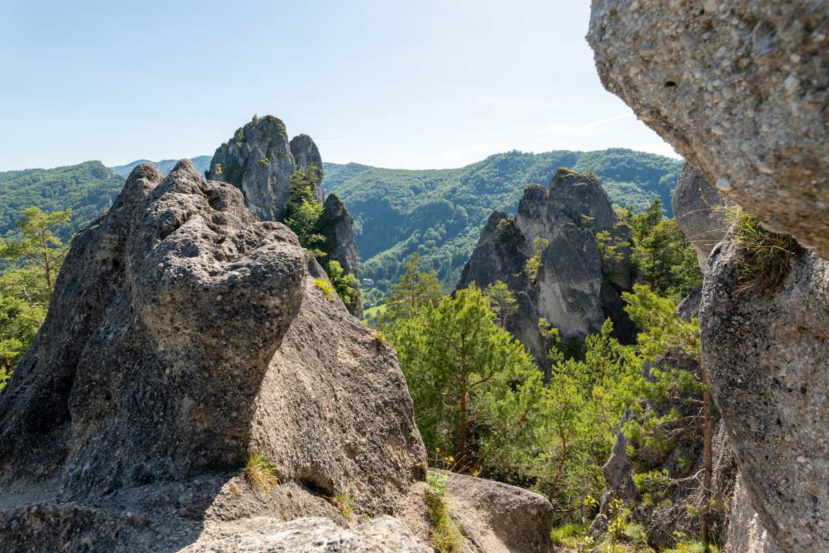 Wiedeń 15-19.06.2022 (55)