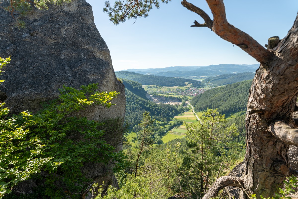 Wiedeń 15-19.06.2022 (56)